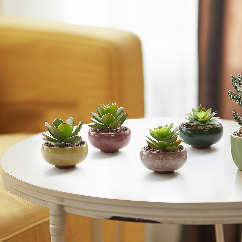 T4U 2.5 Inch Small Ceramic Succulent Planter Pot with Drainage Hole Set of 12, Ice Crack Glaze Plant Container for