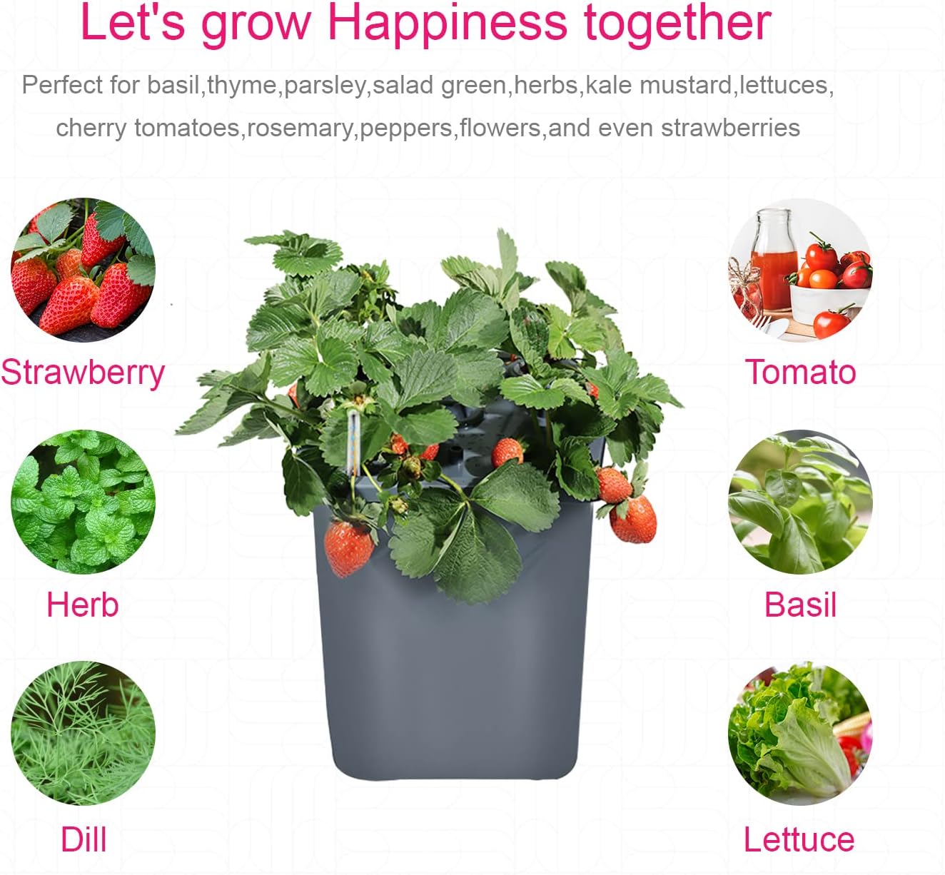 2 Hydroponic Buckets Kit for Plants, Hydroponics Growing System for Herbs/Tomato/Vegetables, DWC System with Air Pump &