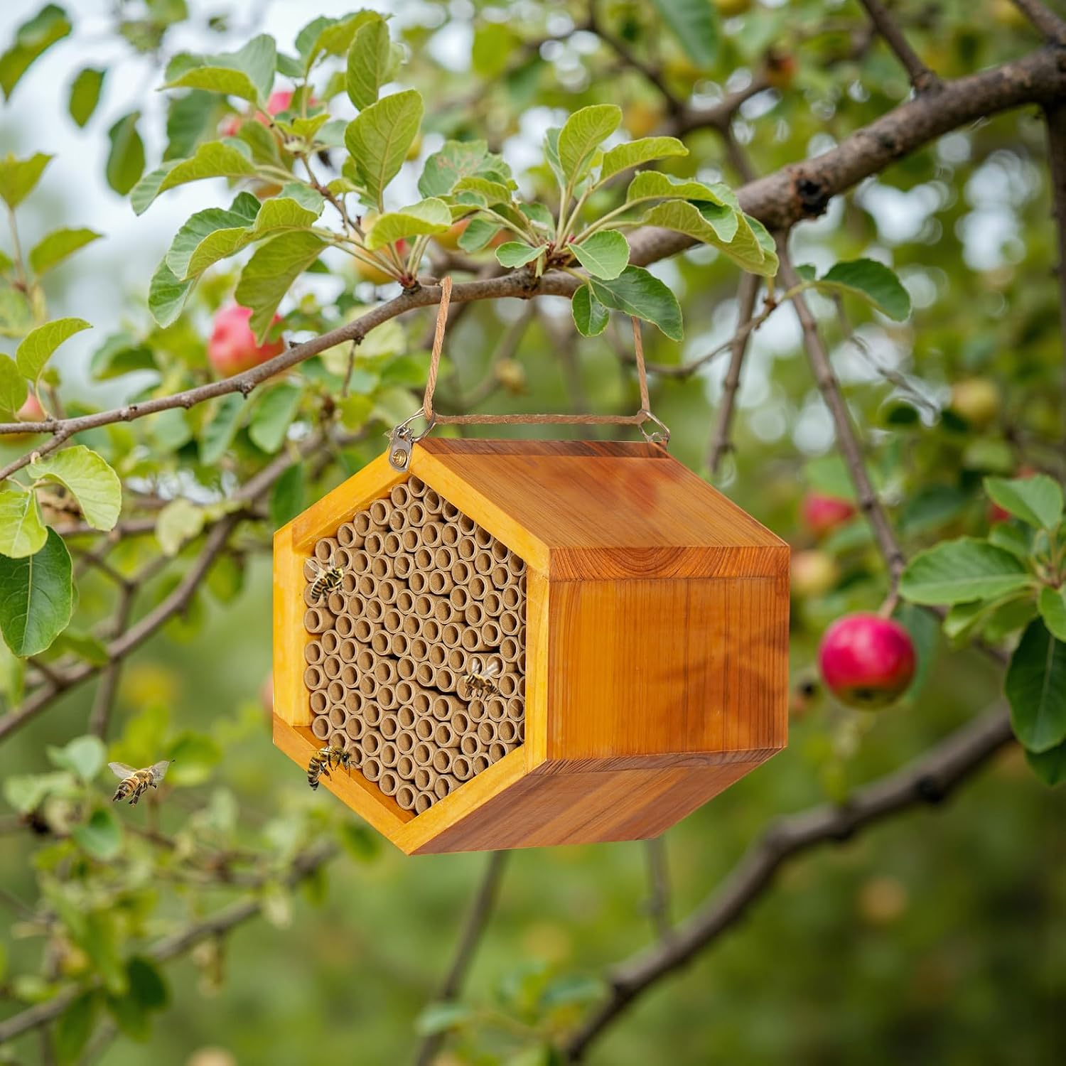 Mason Bee House - Handmade Natural Wooden Bee Hive Coated with Wax for Water-Proof and Long Service Life - Attracts