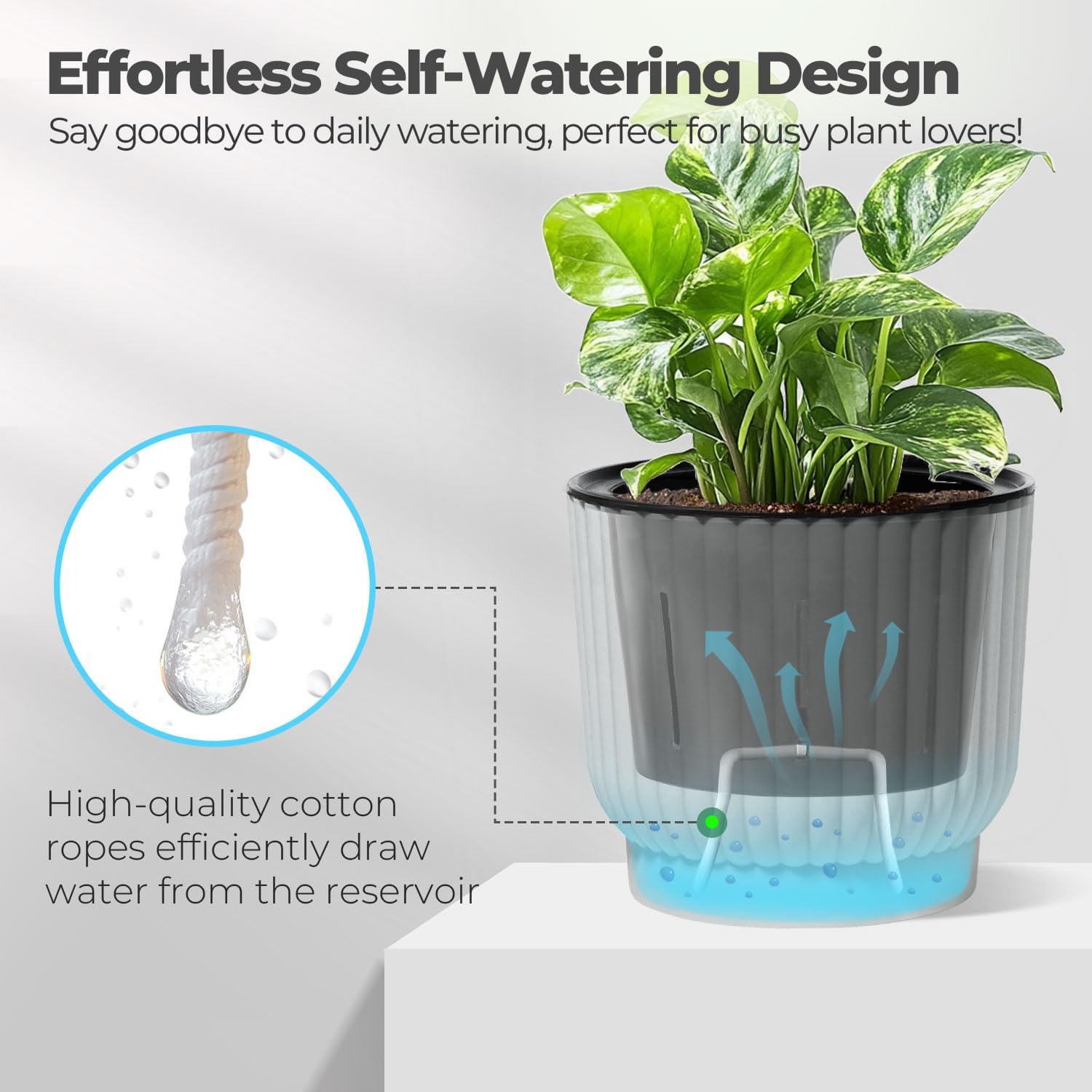 T4U Self Watering Pots for Indoor Plants, 6 Inch 6 Pack Planter White | African violet pothos ferns, Herb garden