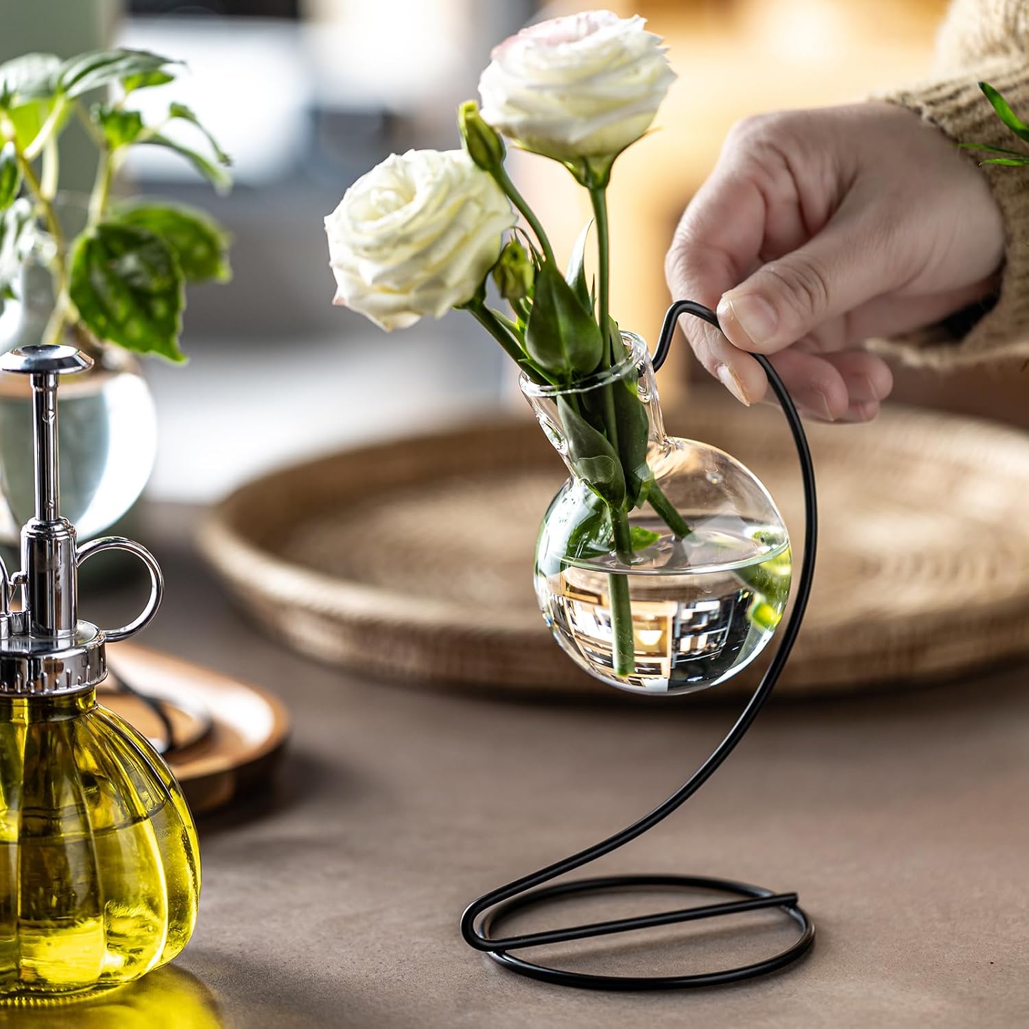 Desktop Glass Plant Propagation Station with Metal Stand, Tabletop Plant Terrarium,Hydroponics Vase for Propagating