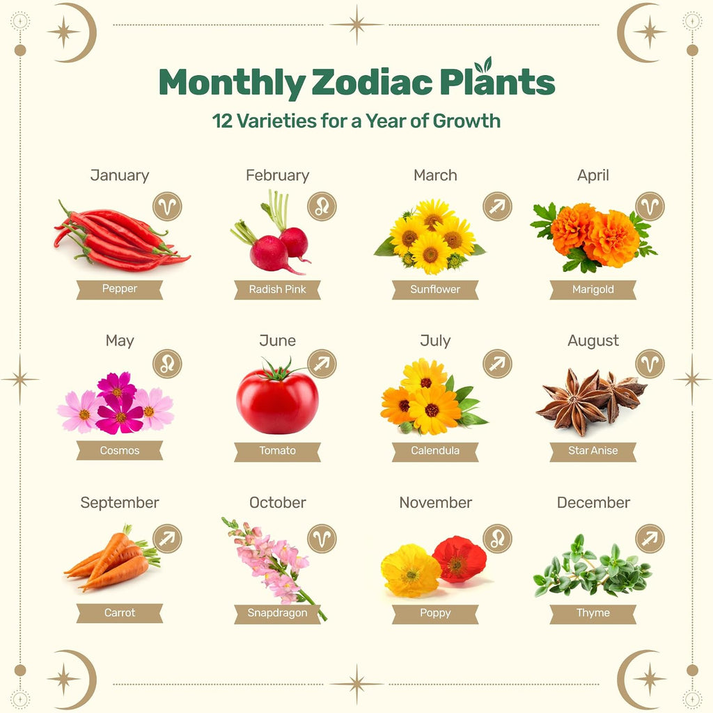 Lush&Dew Zodiac Garden Seed Bank Fire Signs, Gardening Gifts for Women Men | 12 Varieties USA-Sourced Non-GMO Heirloom