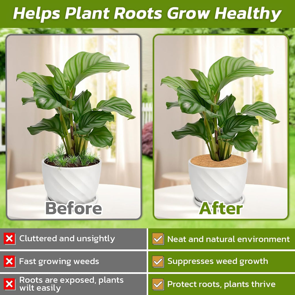 20 Pack Coconut Fiber Mulch Ring Tree Plant Protector Mat, 11.8 Inch | Natural Coco Coir Tree Mulch Ring Plant Pot Soil