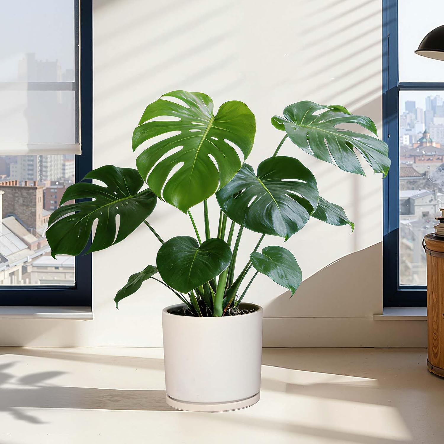 Kazeila 12 Inch Ceramic Planter Pot with Drainage Hole & Tray, Large Indoor Plant Pots, Modern Cylinder Flower Pot
