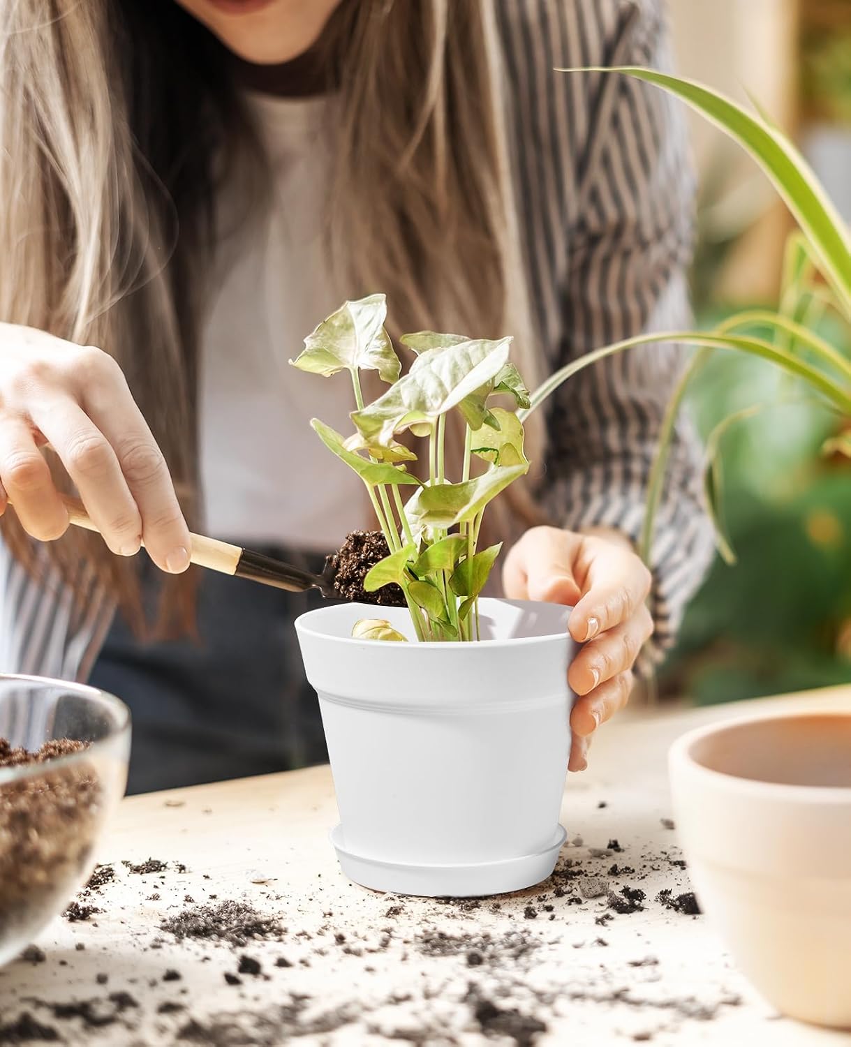 6 Inch Plastic Plant Pots with Drainage Holes and Trays (15 Pcs) | Cream white finish suits orchids, succulents, herbs