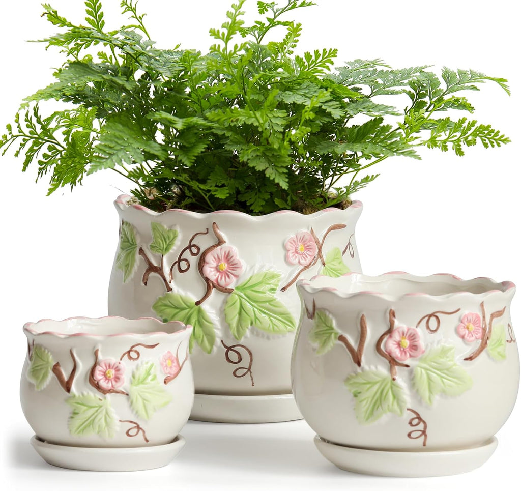 Ceramic Plant Pots with Drainage Holes and Saucers, Small Planters Set of 3 | Round Hand-painted Green Flower Pots for
