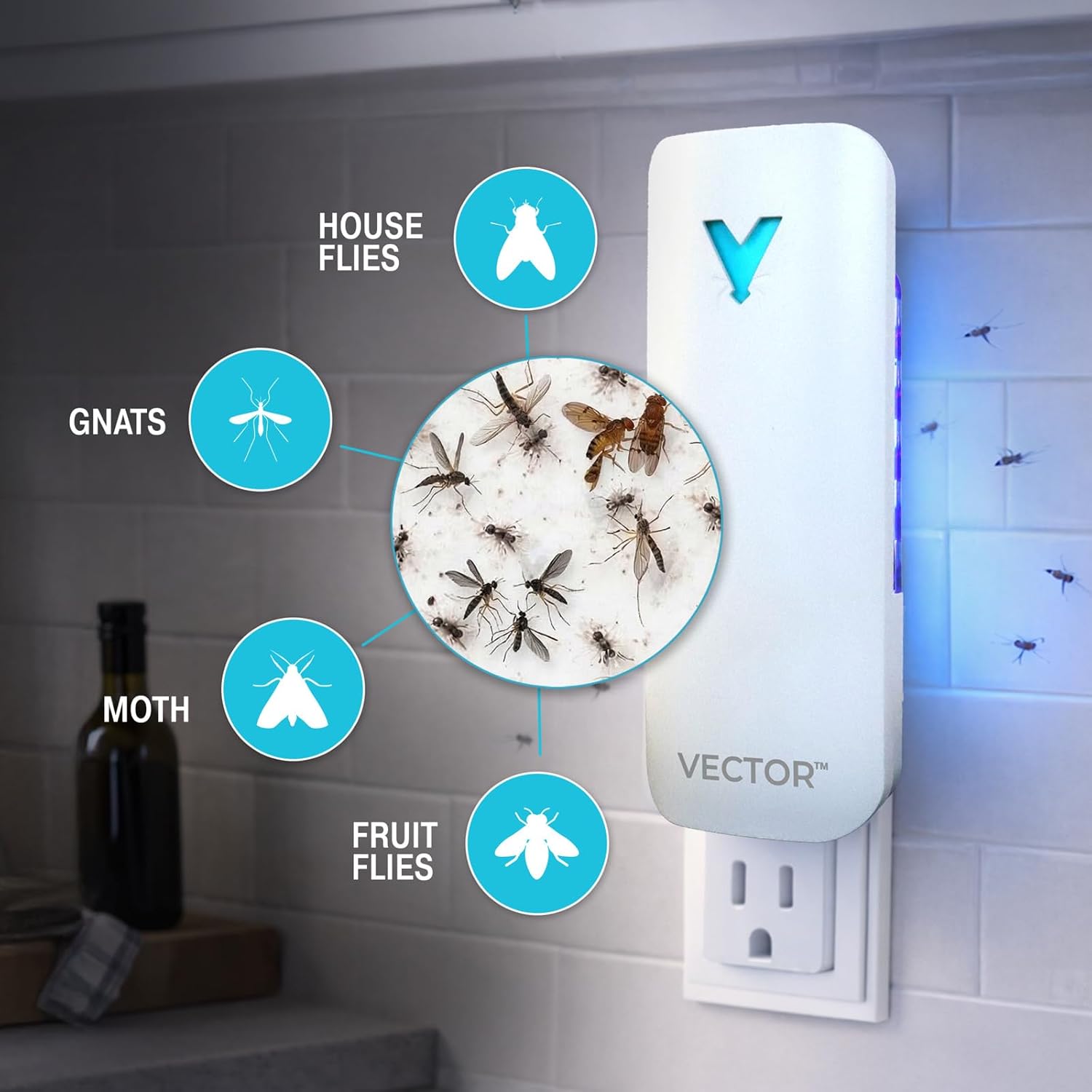 Catchmaster Vector 9 Plug in Fly Trap for House Flies, Fruit Flies & Gnats | Silent UV light bug catcher for kitchens