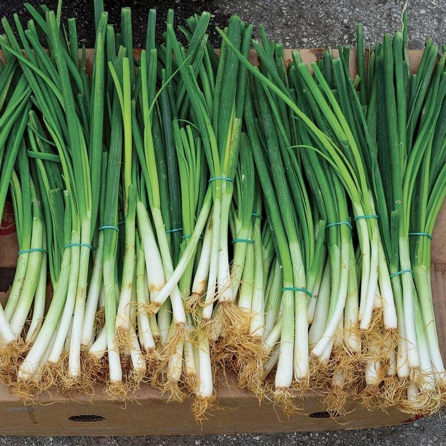 Park Seed Stir Fry Vegetable Seed Collection – Non-GMO Garden Kit with Broccoli, Snap Peas, Carrots, Sweet Peppers &