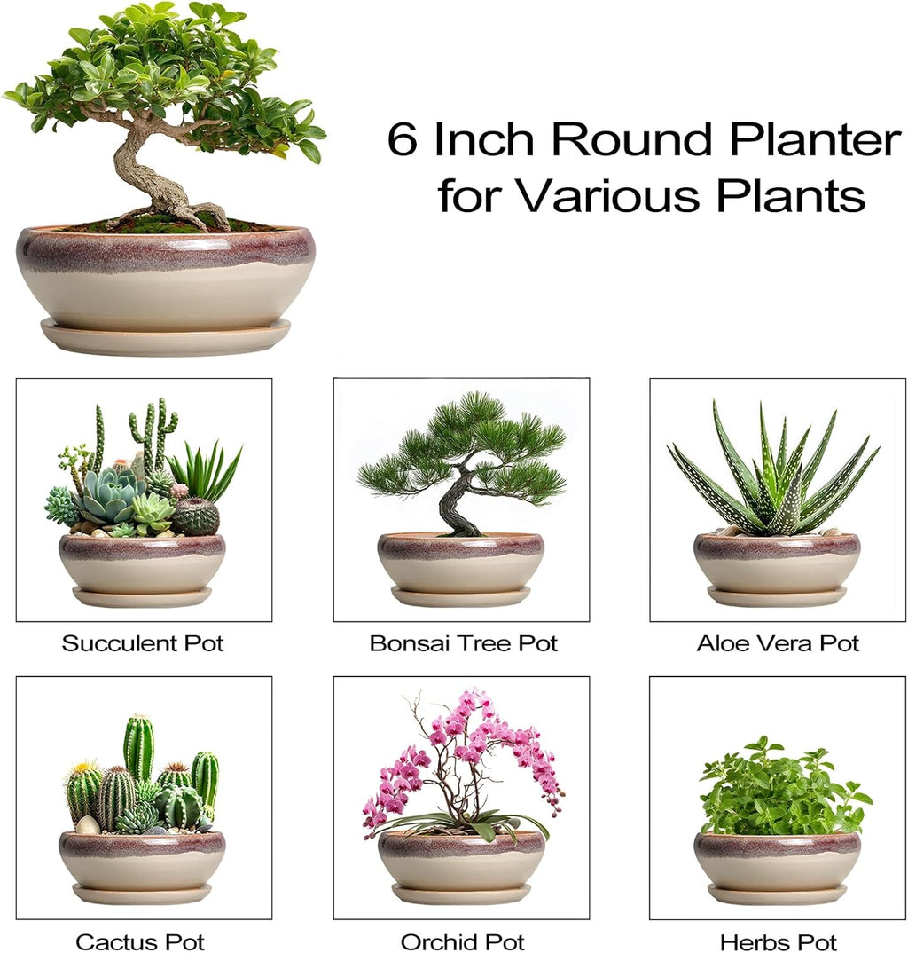 SQOWL Small Bonsai Pots - 6 Inch Ceramic Plant Pots for Succulents, Shallow Planter with Drainage Hole and Saucer