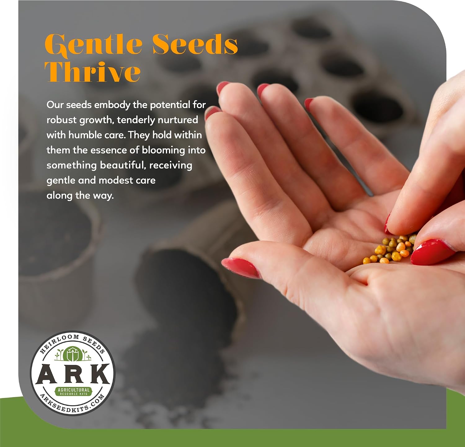 Organic Heirloom Seed Kit - 70+ Varieties, 50,000+ Seeds - Diverse Fruits, Vegetables, & Herbs for Gardening- Includes