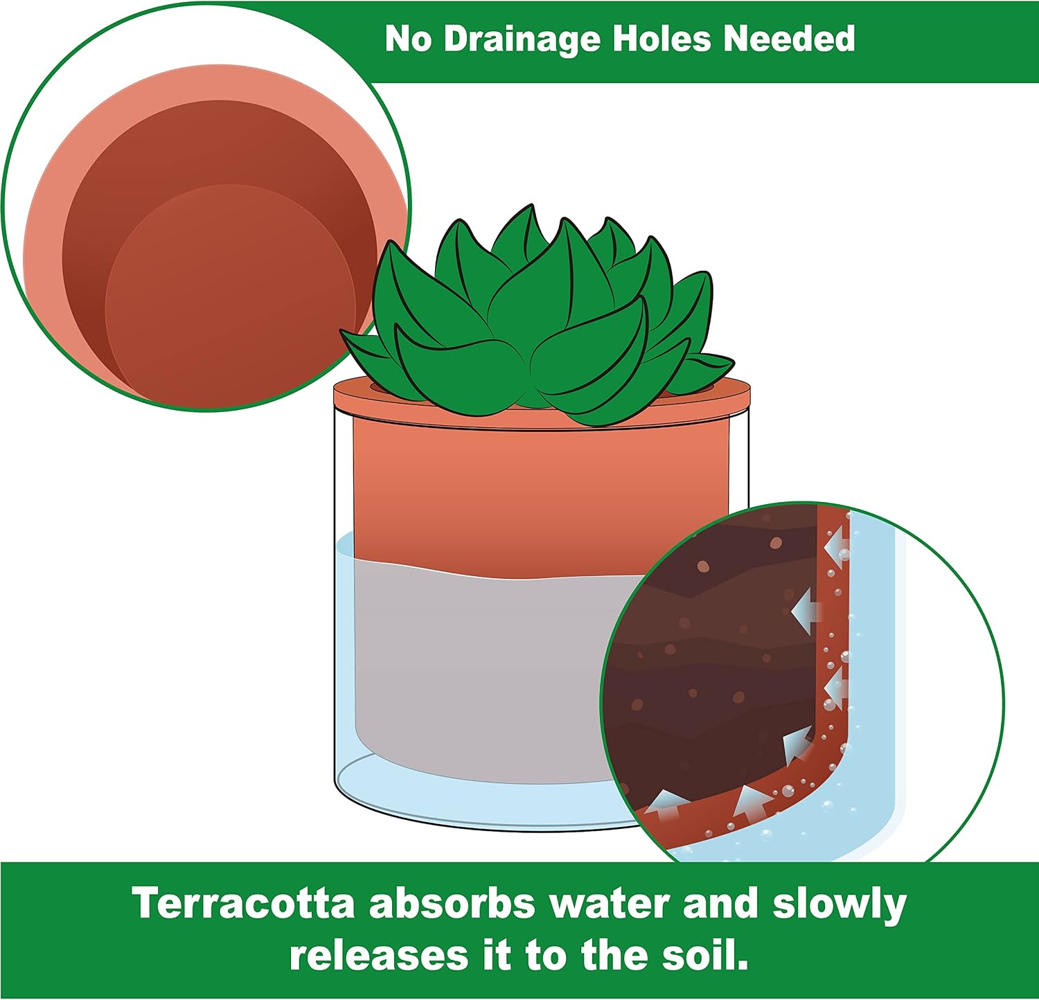 Phoenix Vine 6 Inch Self Watering Plants Pot, Design Terracotta Pot for Plants, Indoor Cylinder Terra Cotta Planter