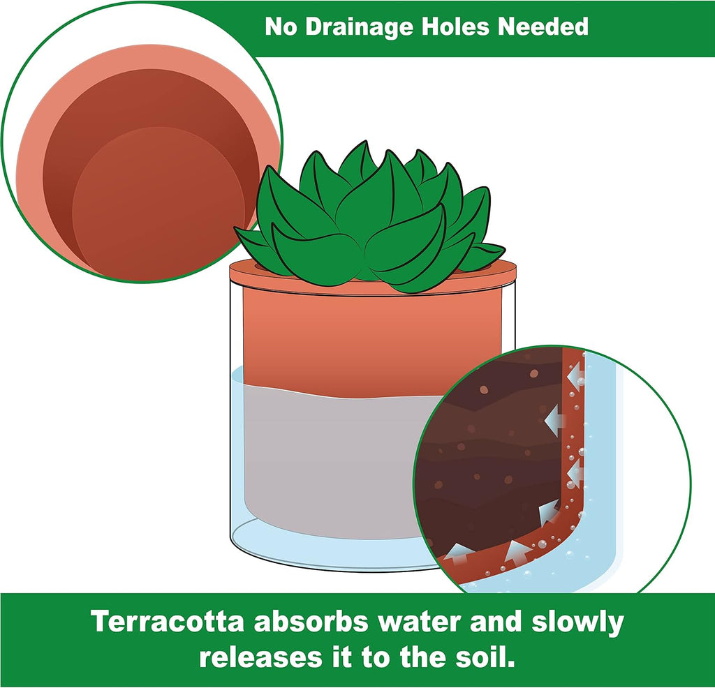 Phoenix Vine 4 Inch Self Watering Plants Pot, Design Terracotta Pot for Plants, Indoor Cylinder Terra Cotta Planter