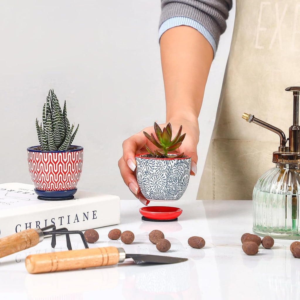 Selamica Ceramic 2.4 Inch Succulent Pots, Mini Flower Pots for Cactus Plant with Drainage Holes & Saucers, Home Decor