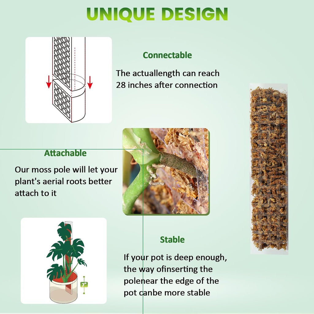 EOX Plastic Moss Pole Kit for Monstera, 15-Inch, 4-Pack, 5.3oz Moss | Clear D-Shaped Design, Fold-to-Assemble, Includes