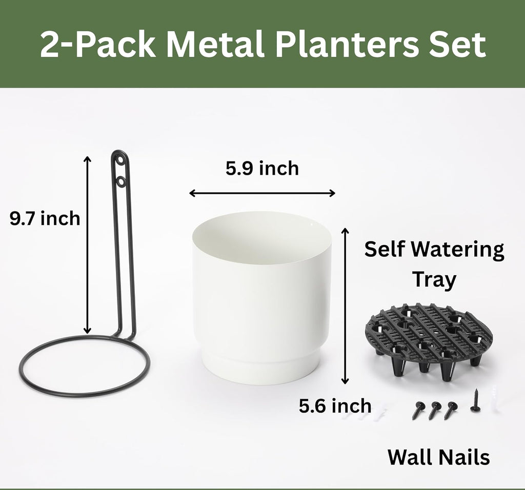 Self-Watering Wall Planters for Indoor Outdoor Plants (5.9 inch) | Metal Wall Vase, Wall Hanging Planter, Wall Plant