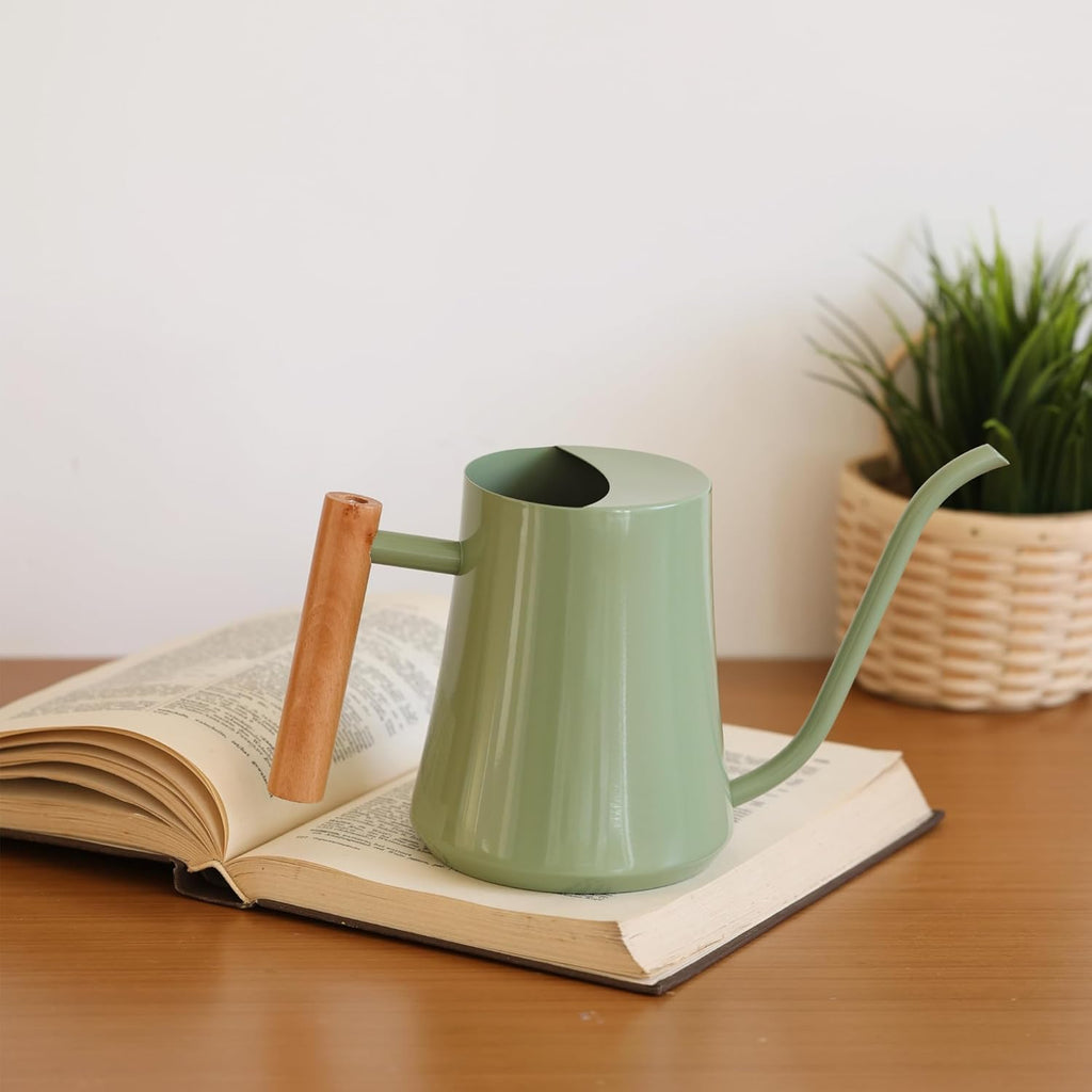 1L/35oz Metal Watering Can Indoor with Long Spout, Sage Green | Metal Stainless Steel Watering Can with Wood Handle for