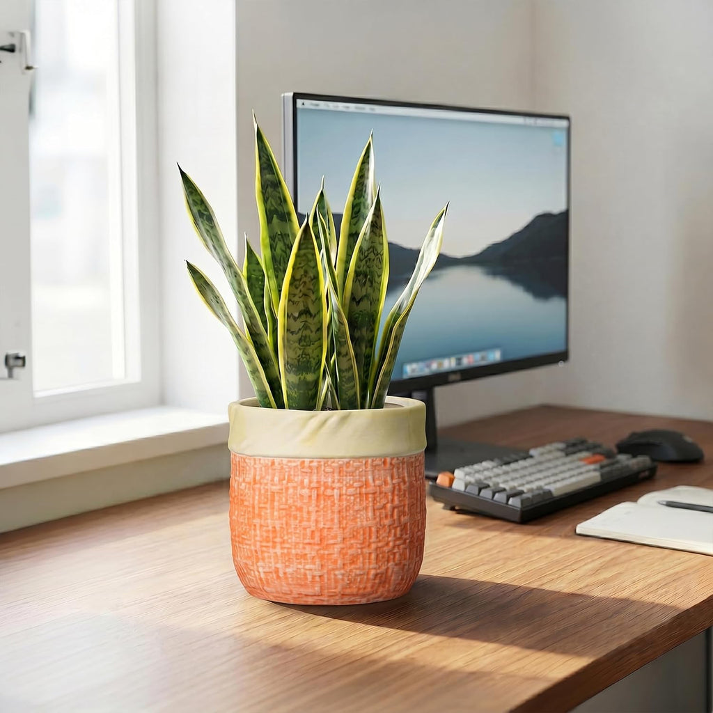 Ceramic Pots for Plants, 6 Inch Planter, Round Plant Pot, Orange | Boho Plant Pot for Indoor Plants, Decorative Flower