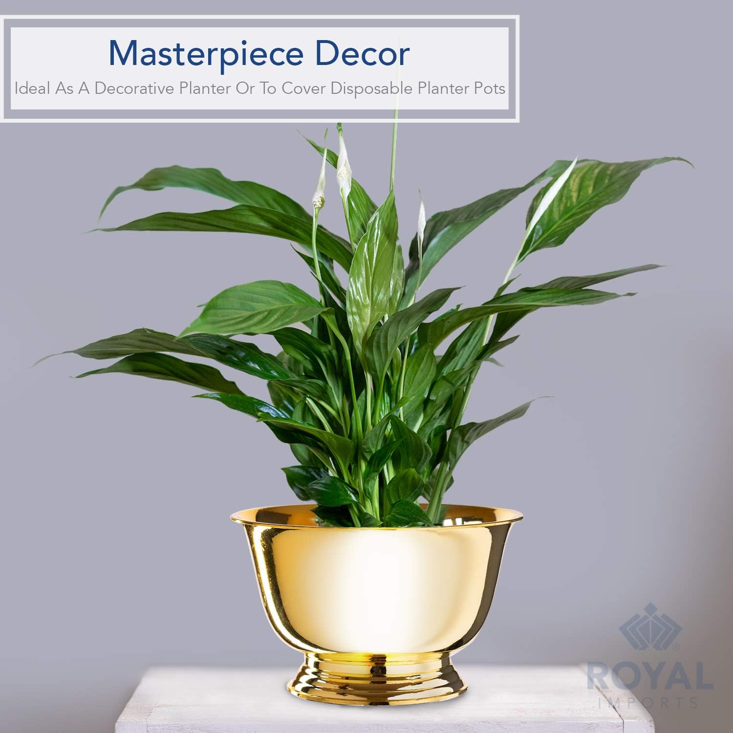 Royal Imports 8" Decorative Plastic Planter Pedestal Bowl- Flower Pot Cover, Footed Succulent Dish for Wedding, Party