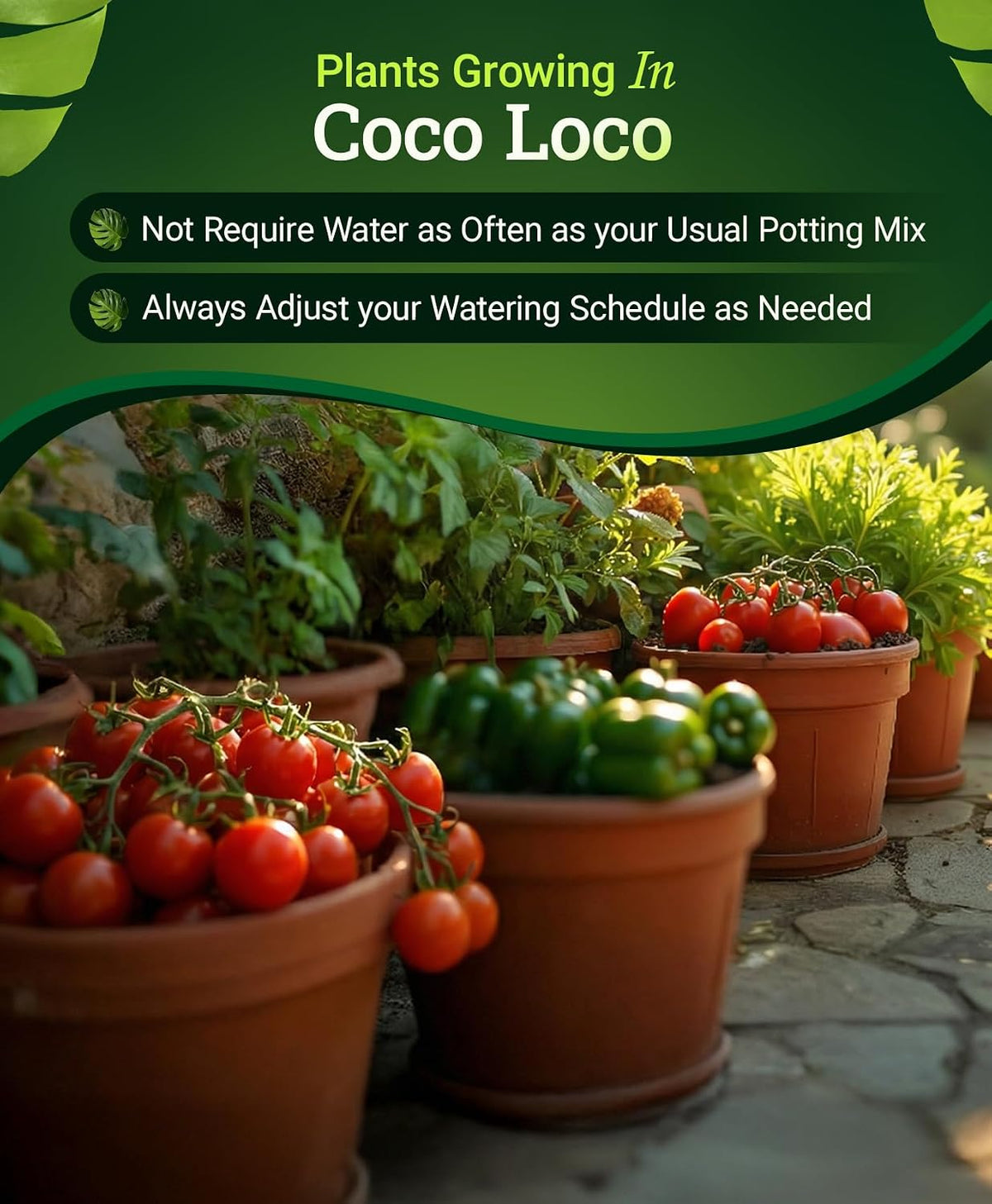 FoxFarm BushDoctor Coco Loco Soil Potting Mix, Triple-Washed for Reduced Salt, Retains Water, Includes Bat Guano &