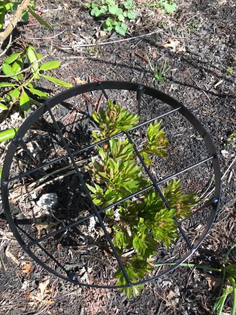 23.6" Peony Cages and Supports,Plant Support Ring for Hydrangea | Durable Round Garden Flower Rings,Tall Plant Support