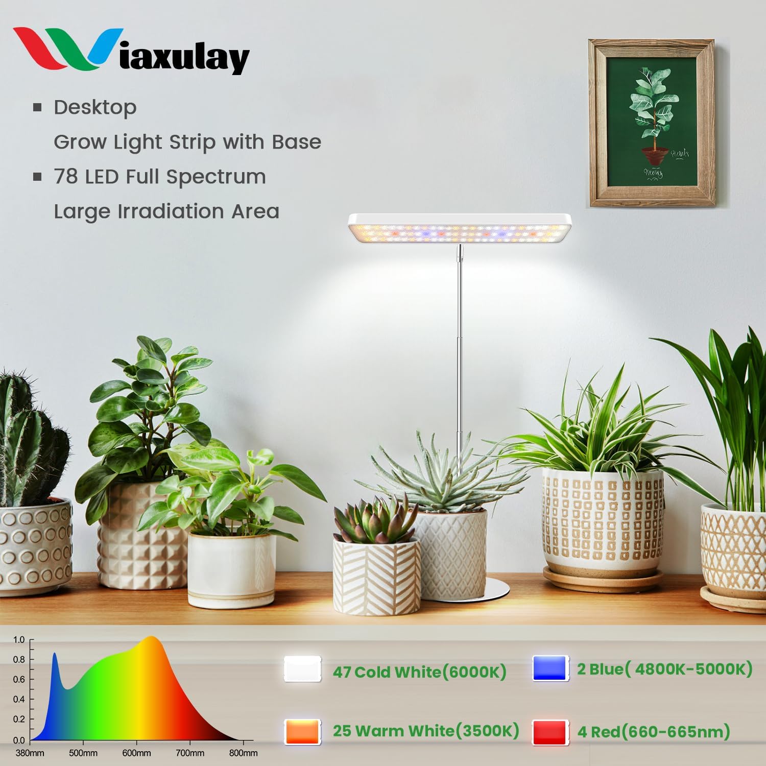 Wiaxulay Plant Grow Light, 11in Full Spectrum for Indoor Plants with Base | Desk Growing Lamp with Metal Base, 7.8-26in