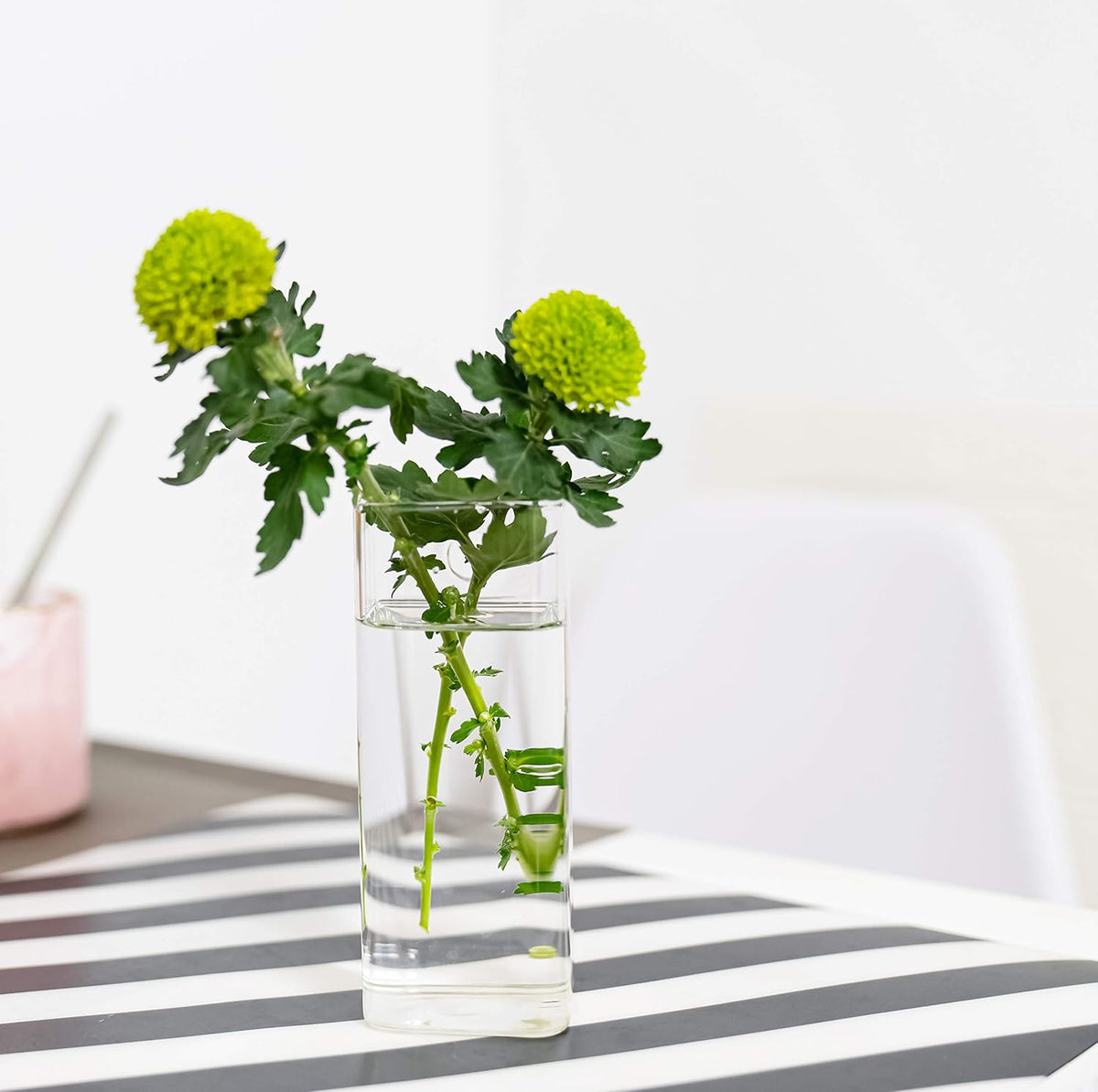 Square Glass Propagation Vase 4 Pack, Wall Hanging Hydroponic Planter | Borosilicate glass, clear & sturdy. Wall-mount.