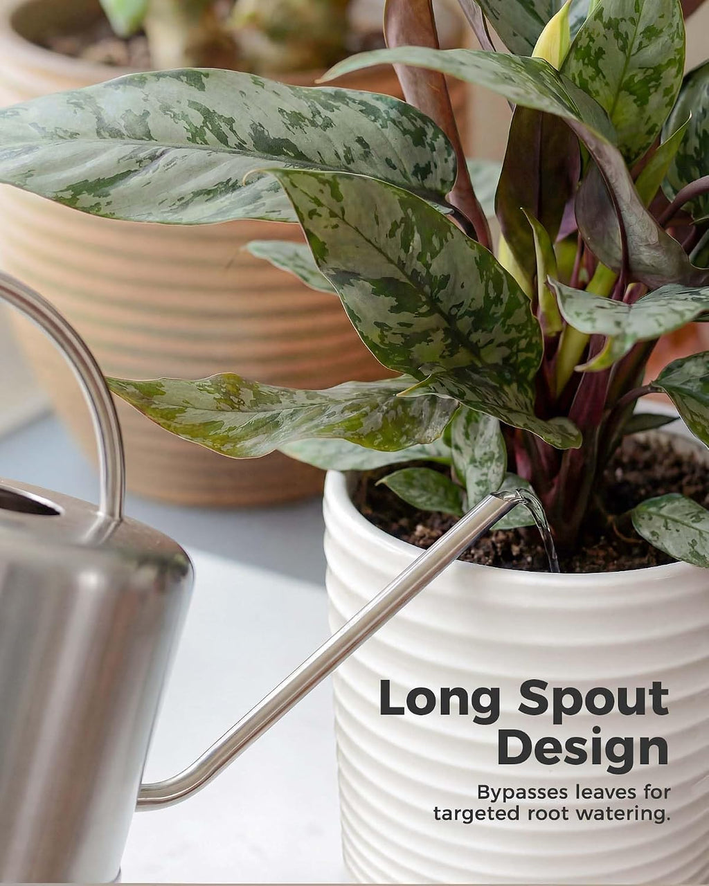 Bamworld Metal Watering Can for Indoor Outdoor Plant 1L/35oz Silver | Stainless Steel Watering Can with Long Spout for