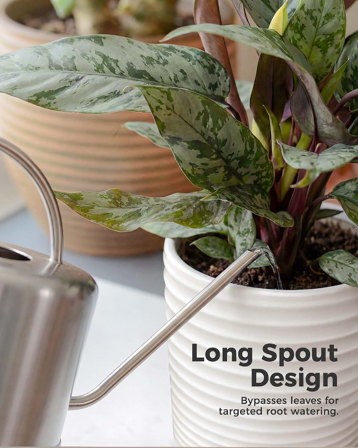 Bamworld Metal Watering Can for Indoor Outdoor Plant 1L/35oz Silver | Stainless Steel Watering Can with Long Spout for