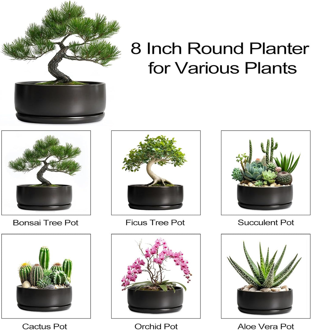 SQOWL Bonsai Pots - 8 Inch Ceramic Plant Pots for Succulents, Round Indoor Planter with Drainage Hole and Saucer