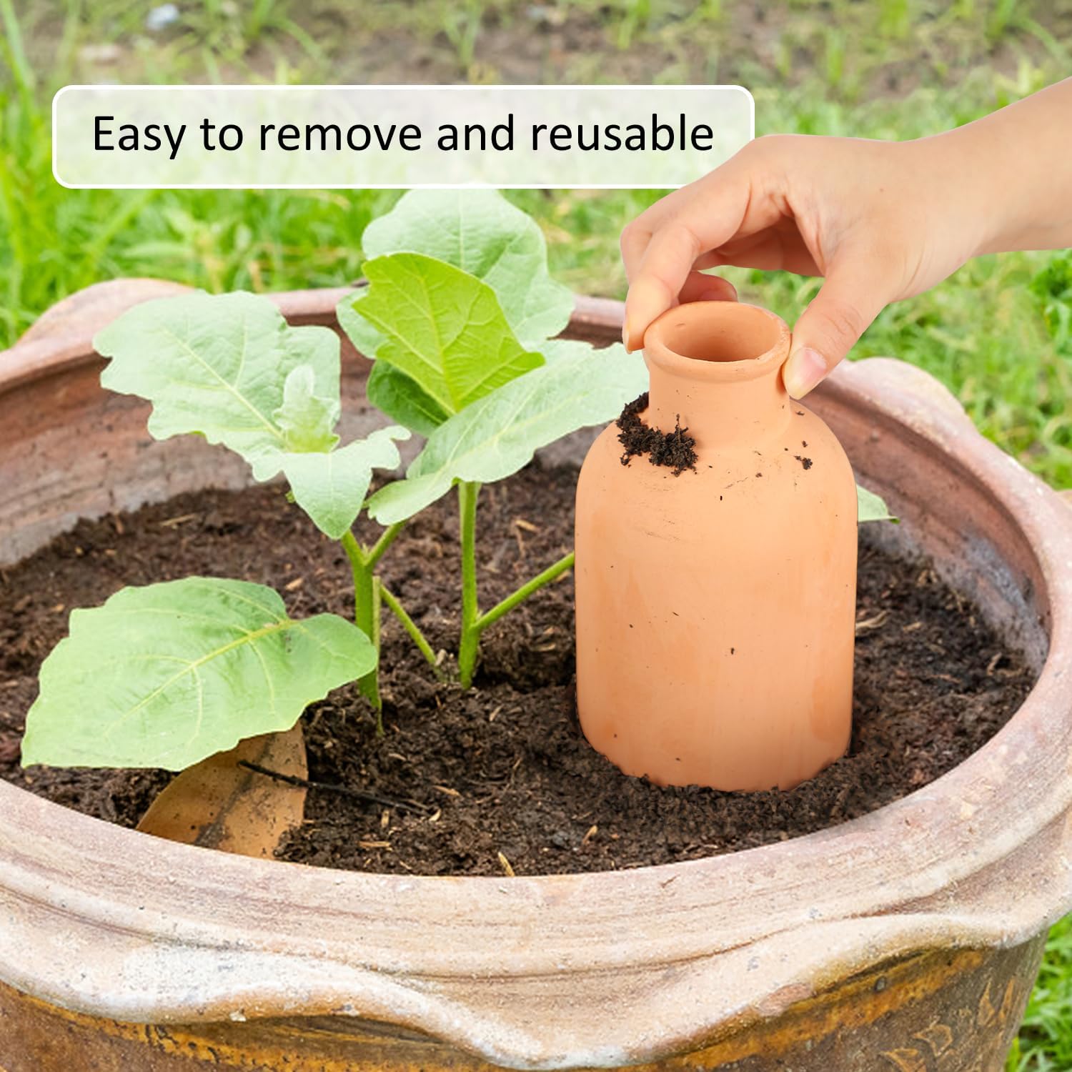 3pcs Terracotta Plant Watering Globes 3.5 * 10inch Terracotta Watering Pots Self Watering Planter 900ml for Indoor