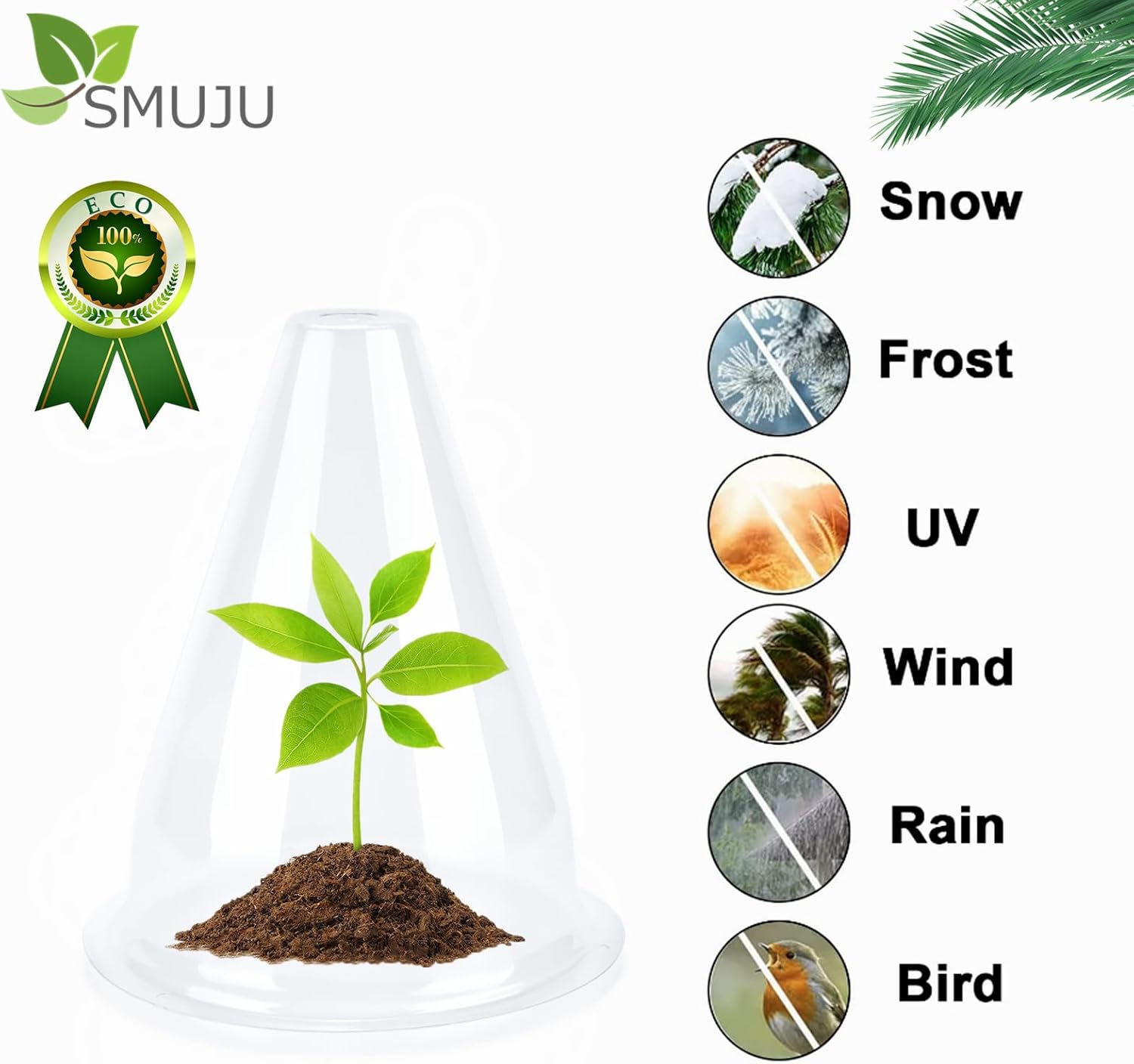 【24 Pieces】 Garden Cloches for Plants, Plant Cover Plant Protectors Transparent Bell Jar Cloches Protection Plants from