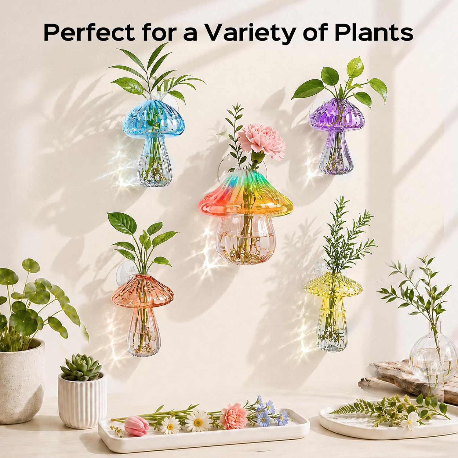 5Pcs Mushroom Propagation, Borosilicate Glass Vases, 6kg Suction Cups | Handcrafted 2.6mm thick glass|5 unique colors