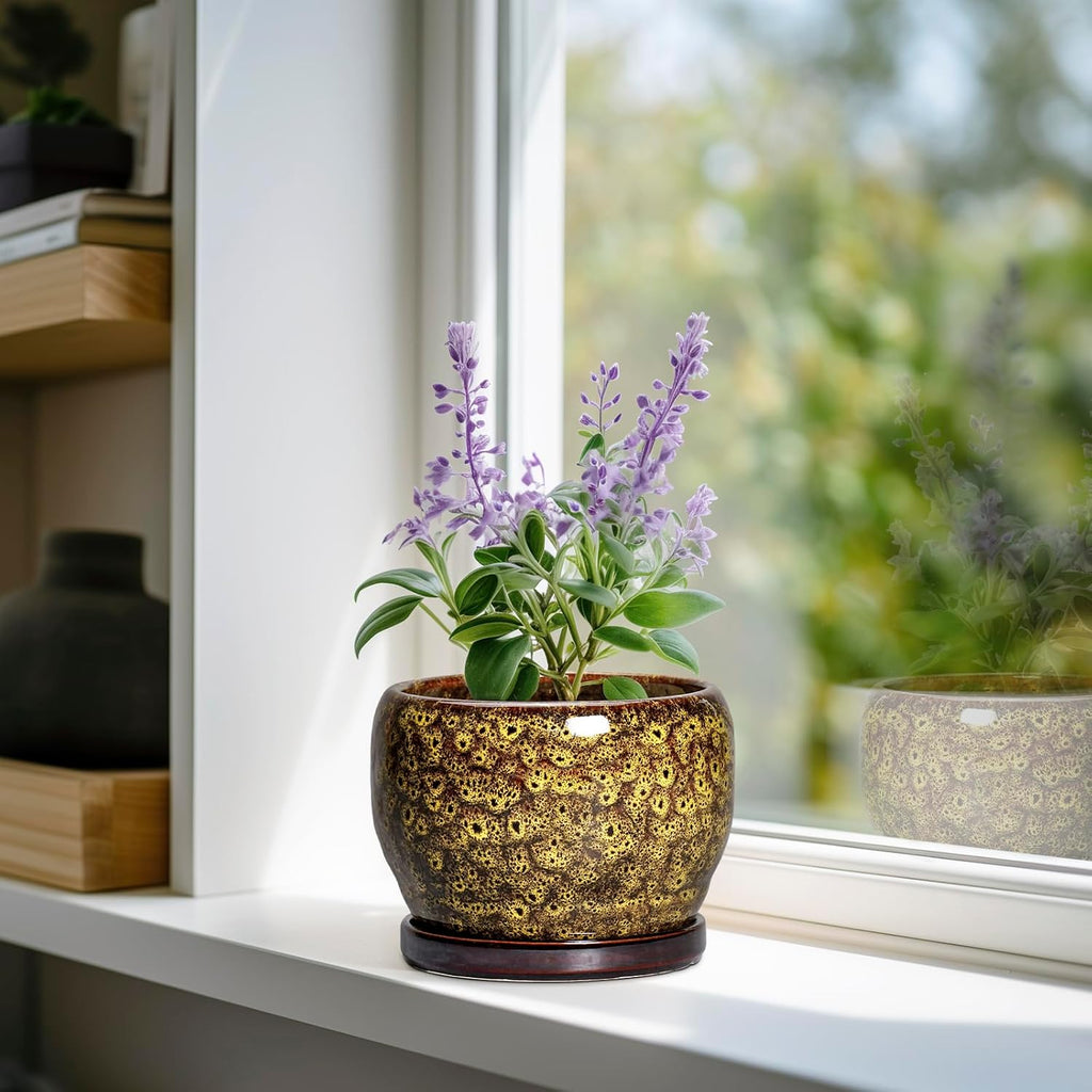 SQOWL 6 Inch Plant Pot - Ceramic Flower Pots with Drainage Hole and Saucer, Ceramic Planter for Indoor Plants Outdoor