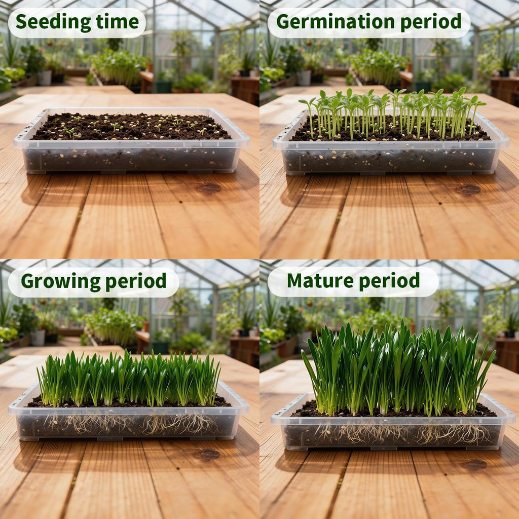 RooTrimmer 1020 Nursery Pot Trays 5 Pack, Transparent Plastic Flat Seed Starter Tray, Durable Square Seedling Starting