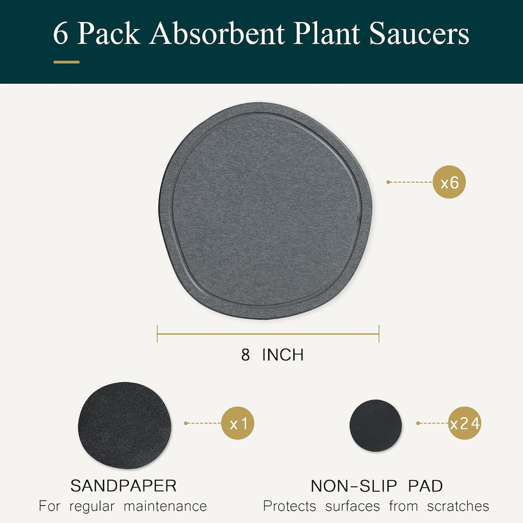 8 Inch 6 Pack Diatomite Plant Trays to Catch Water, Plant Pot Saucers | XRzitky Quick Absorbent and Dry Water Catcher
