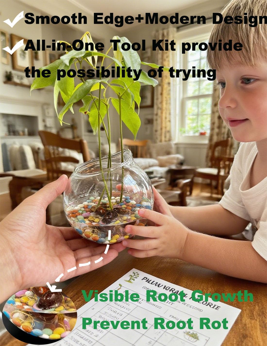 3 Pack Hanging Propagation Stations with Care Tool Kit (Squeeze Bottle & Tweezers Included), Glass Wall Planters for