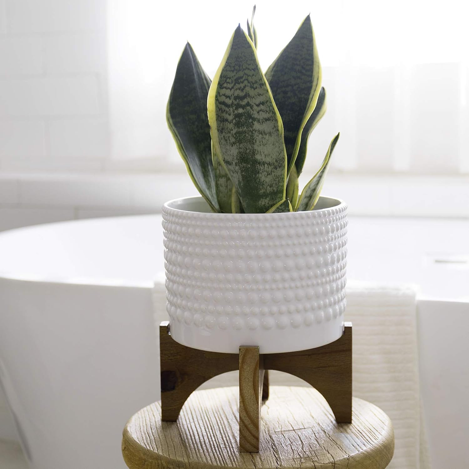 LA Jolie Muse Ceramic Pot for Plants, 8 Inch Indoor Planter with Stand | Hobnail Patterned Flower Pot with Wood Stand