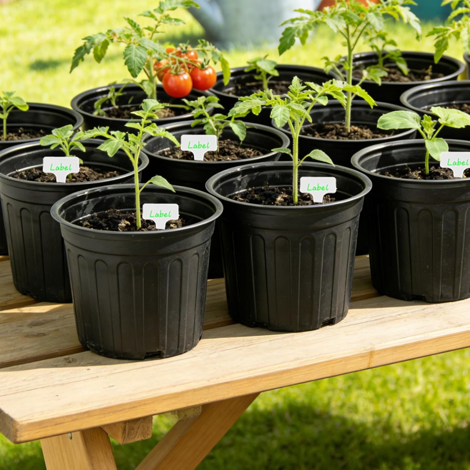 60-Pack 2 Gallon Flexible Plastic Plant Pots with 50Pcs Plant Labels,Thickened Soft Seed Starting Container for Indoor