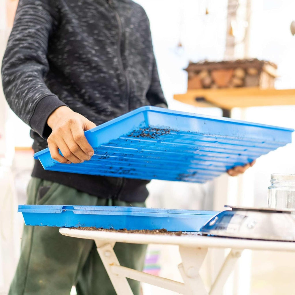 Bootstrap Farmer Extra Strength 1020 Trays, Blue, 10 Trays with Holes