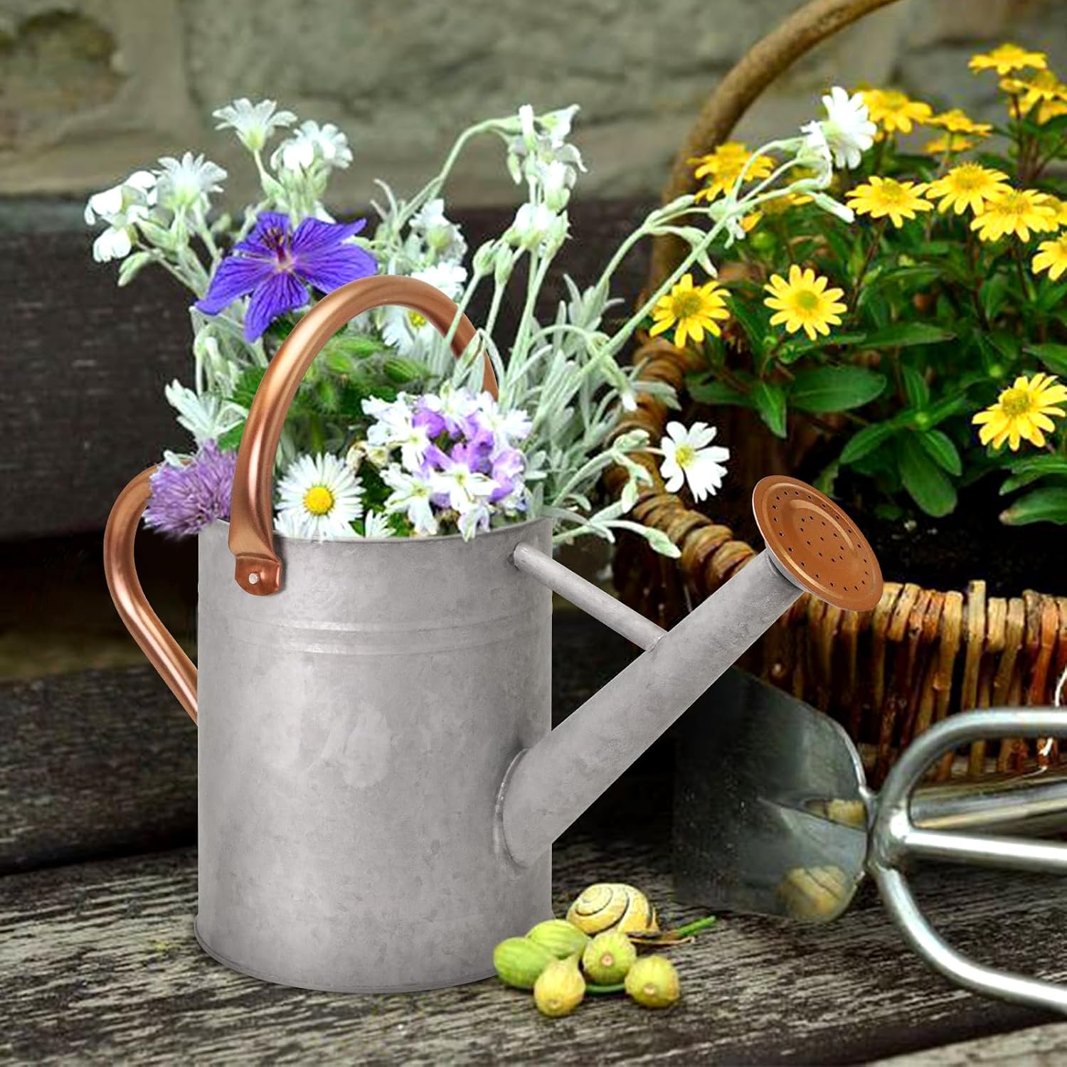 Metal Watering Can with Removable Spout, Galvanized Watering Can, Perfect for Indoor Use and for Outdoor Use (1