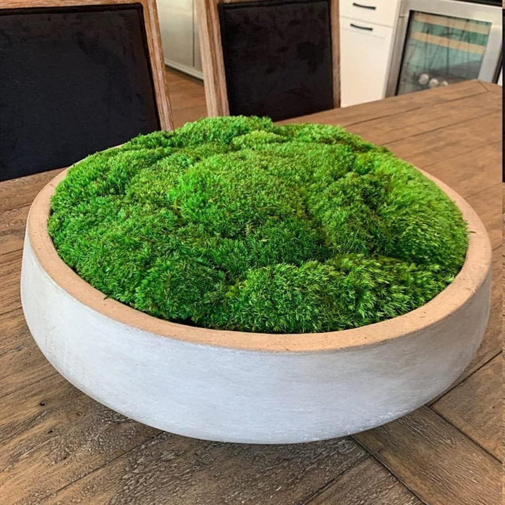 Preserved Pole Moss Pillow Bun Cushion Natural Green Decorative Real Natural Green DIY Kit Terrariums Gardenning Art