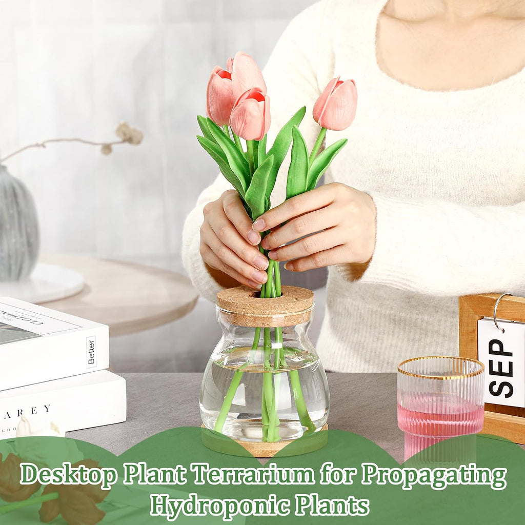 Beeveer 6 Pcs Plants Propagation Station Separated Desktop Plant Terrarium with Wood Lid and Stand, 3 Sizes Glass
