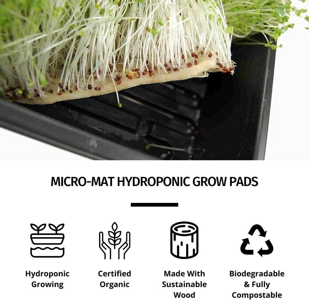 Handy Pantry Micro-Mats Hydroponic Grow Pads for Organic Production 10 Pack | Plant & Seed Germination: Wheatgrass