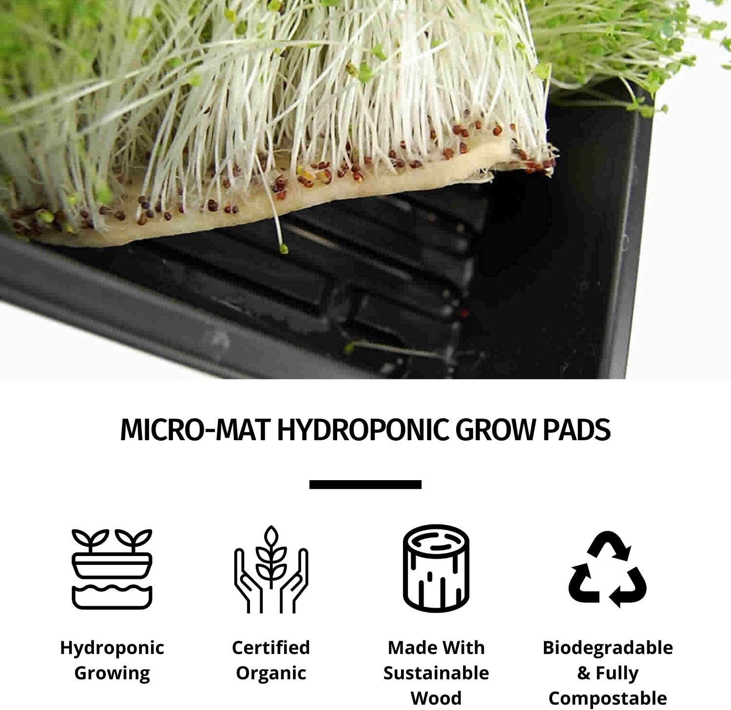 Handy Pantry Micro-Mats Hydroponic Grow Pads for Organic Production 10 Pack | Plant & Seed Germination: Wheatgrass