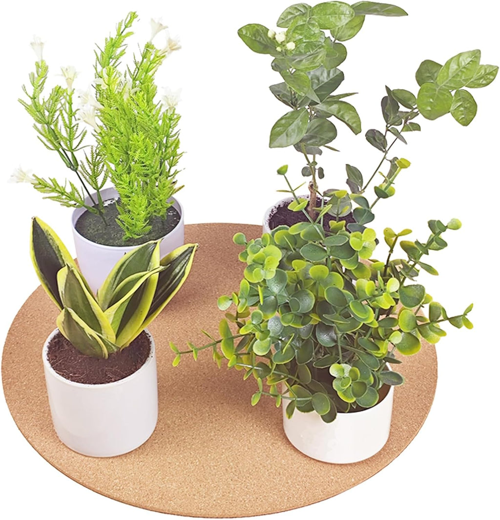 18 Inch Large Cork Plant Coasters, 2 Pieces Cork Plant Mats, Cork Coaster for Planters, Large Plant Coasters for House