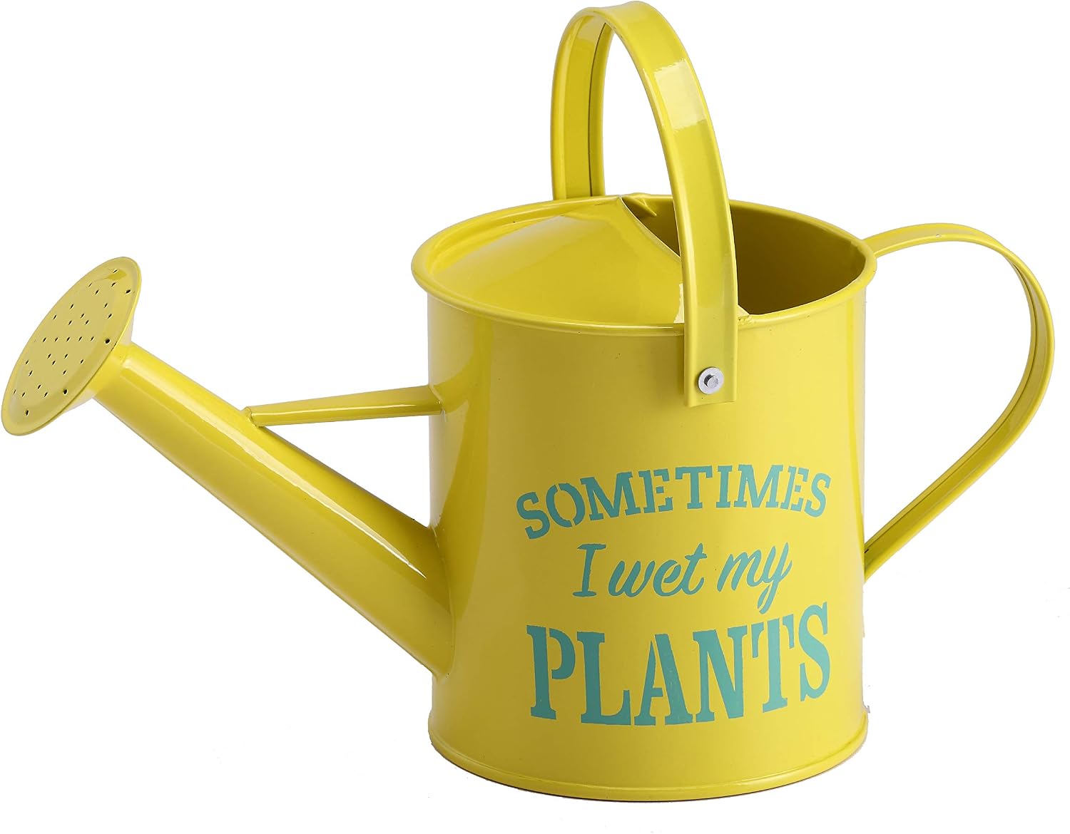 Small Indoor Watering Can - Gardening Gifts for Women -Sometimes I Wet My Plants- 1.6 L - Cute Watering Can for