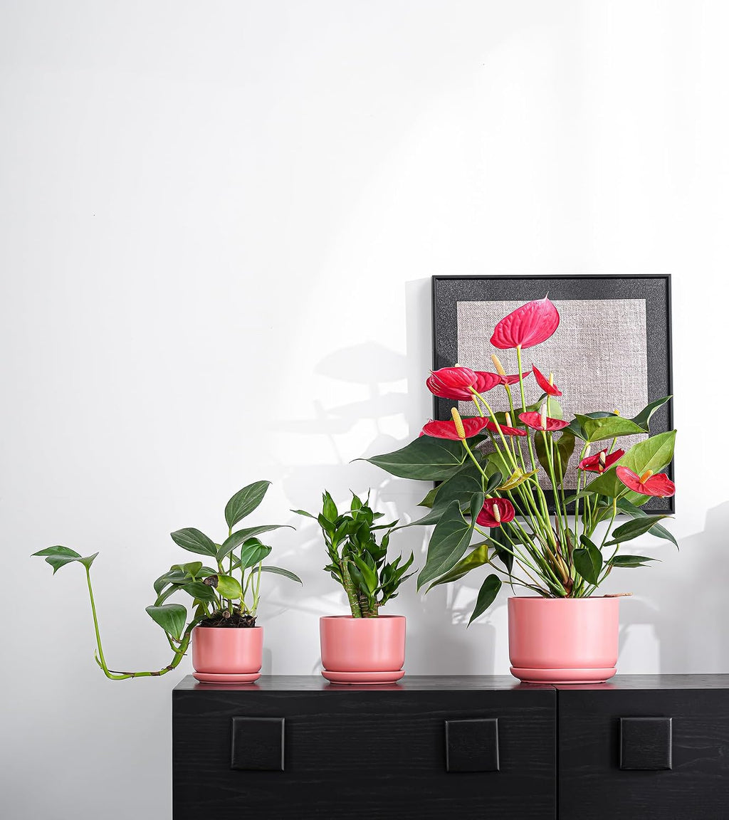 Ceramic Plant Pots,Planters with Drainage Hole&Saucer 3 Pack(Matte Orange) | Ceramic Pots for Plants | Modern Indoor