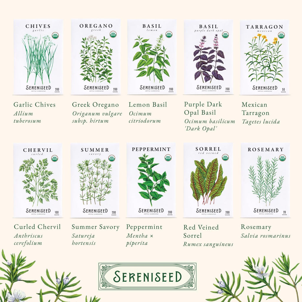 Sereniseed Certified Organic Herb Seeds 35-Pack | Non-GMO Heirloom Variety for Indoor Outdoor Culinary Gardening Gift