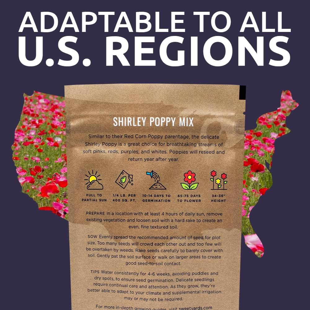 Shirley Poppy Seeds – Mixed Colors – Bulk Quarter Pound Bag – Over 800,000 Open Pollinated Non-GMO Wildflower Seeds –