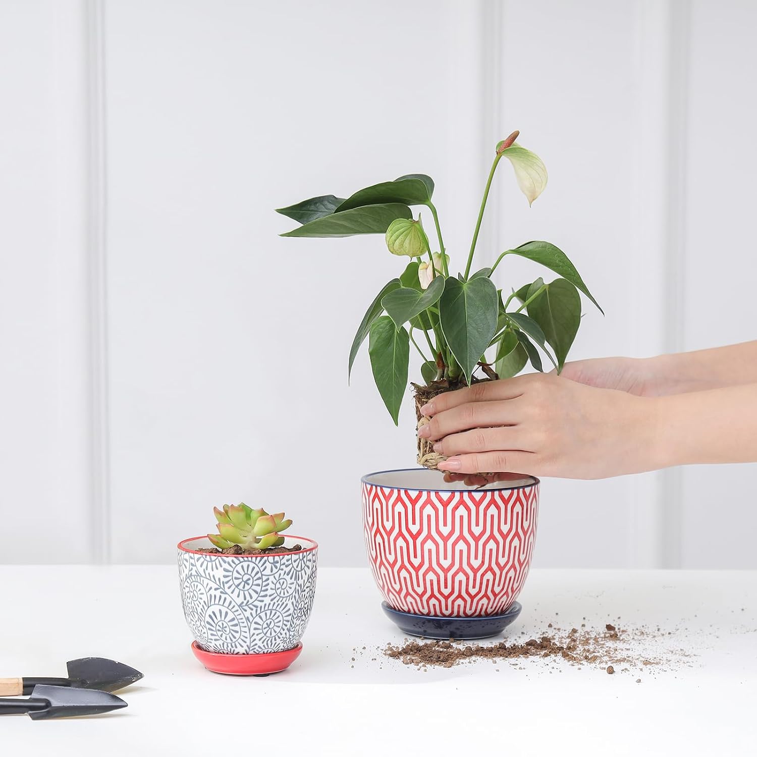 Selamica Ceramic Succulent Pots, 3.5 Inch Small Plant Pots for Indoor Plants Cactus Herbs, Succulent Planters with